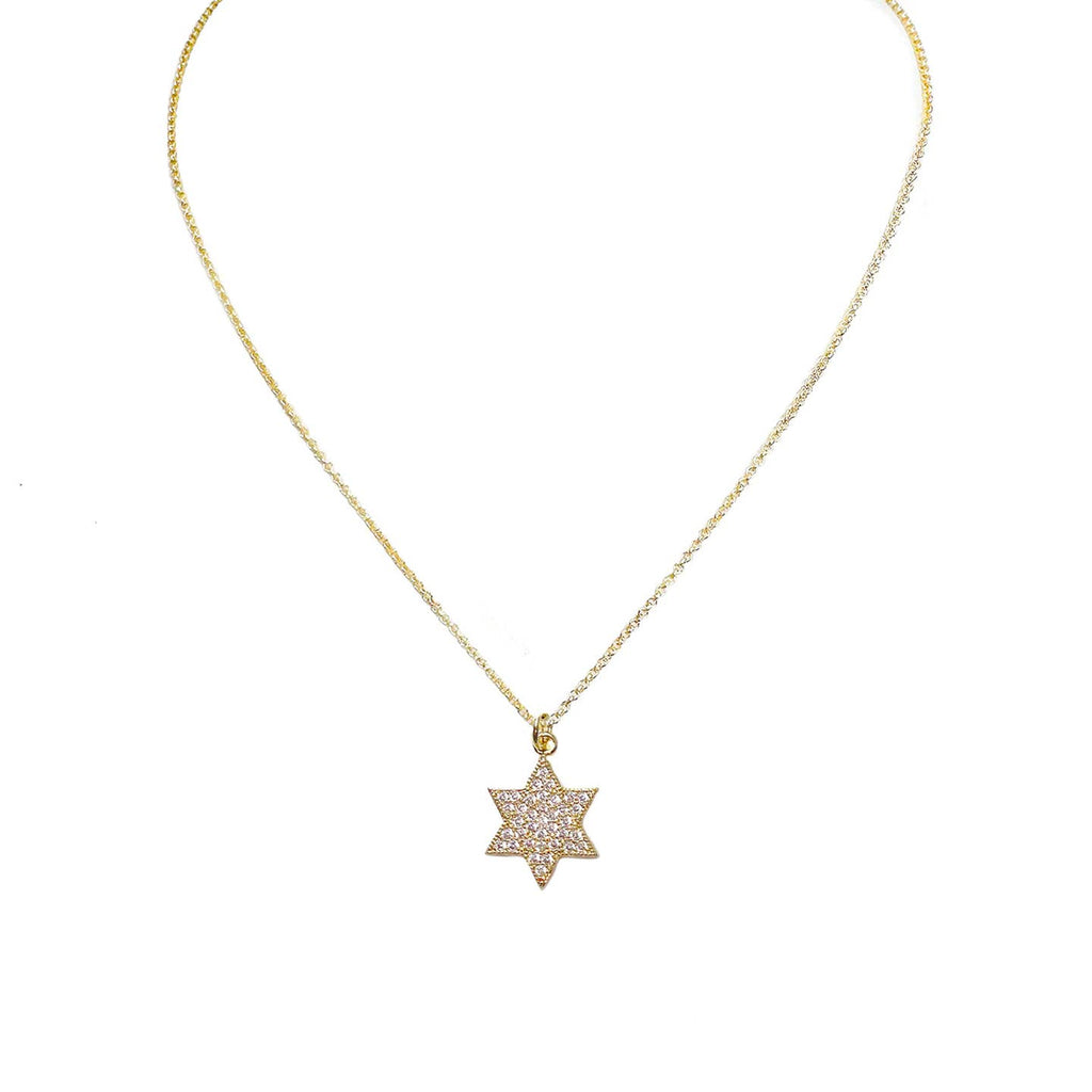 16" Amy Stunning Star of David Necklace
