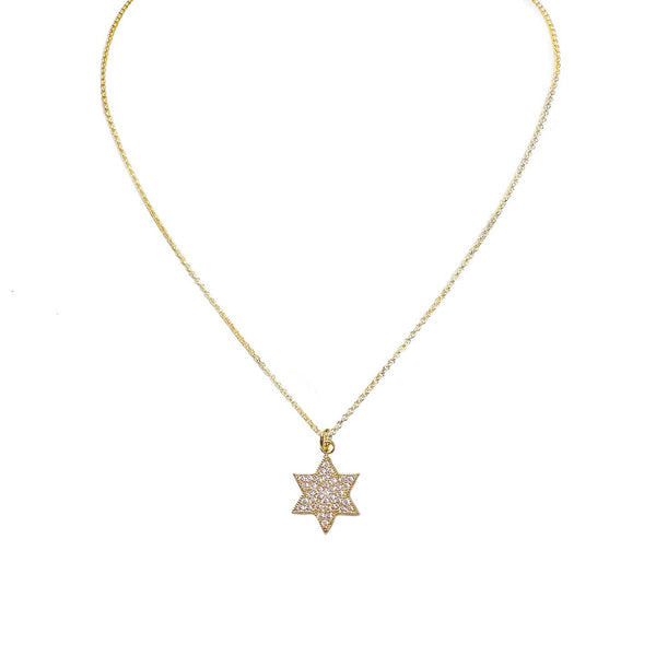 16" Amy Stunning Star of David Necklace