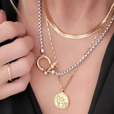 Two-Tone Horse Bit Carabiner Lock Necklace