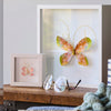 Orange Butterfly Wall Art