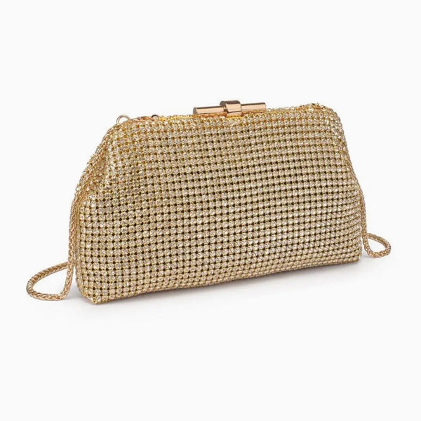 Gorgeous Delfina Evening Bags