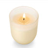 Coconut Milk Mango Candle