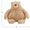 Plush Cream Color Bear