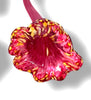 Handblown Glass Flowers