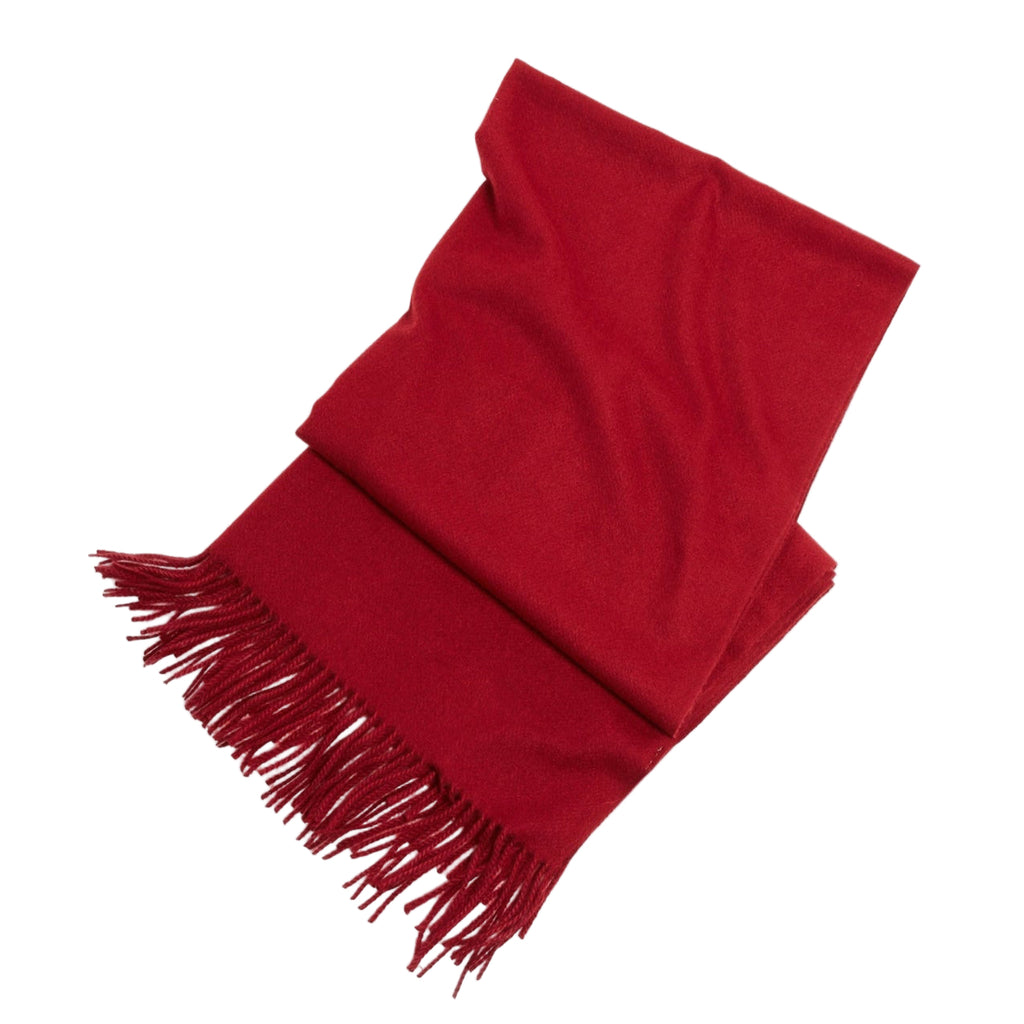 Soft Beautiful Scarf with Fringe