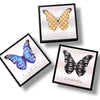 Butterfly Framed Pictures