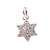 Pave Star of David Charm