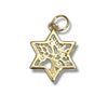 Star of David Charms