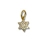 Star of David Charms