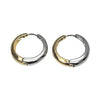 Silver and Goldtone Hoops