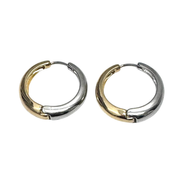 Silver and Goldtone Hoops