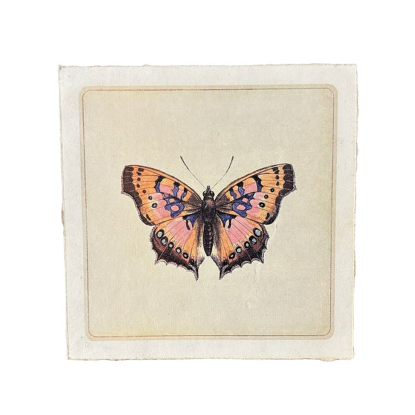 8" x 8” Butterfly Paper Prints