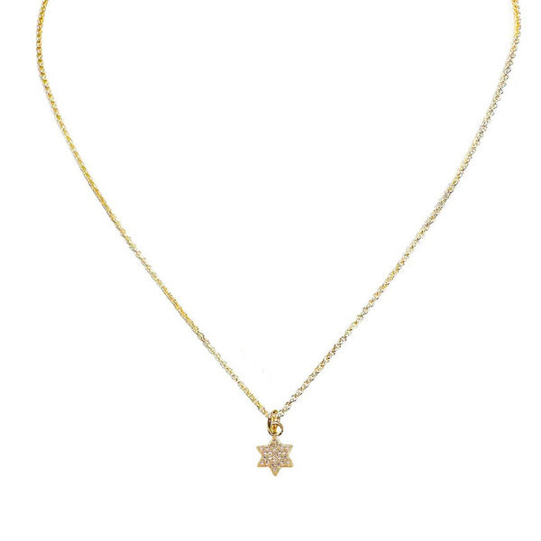Sterling Sami Tiny Charming Star of David Necklace