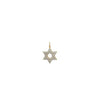 Star of David Charms