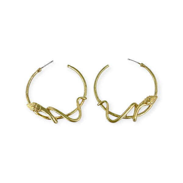 Snake Triangle Or Round Hoops