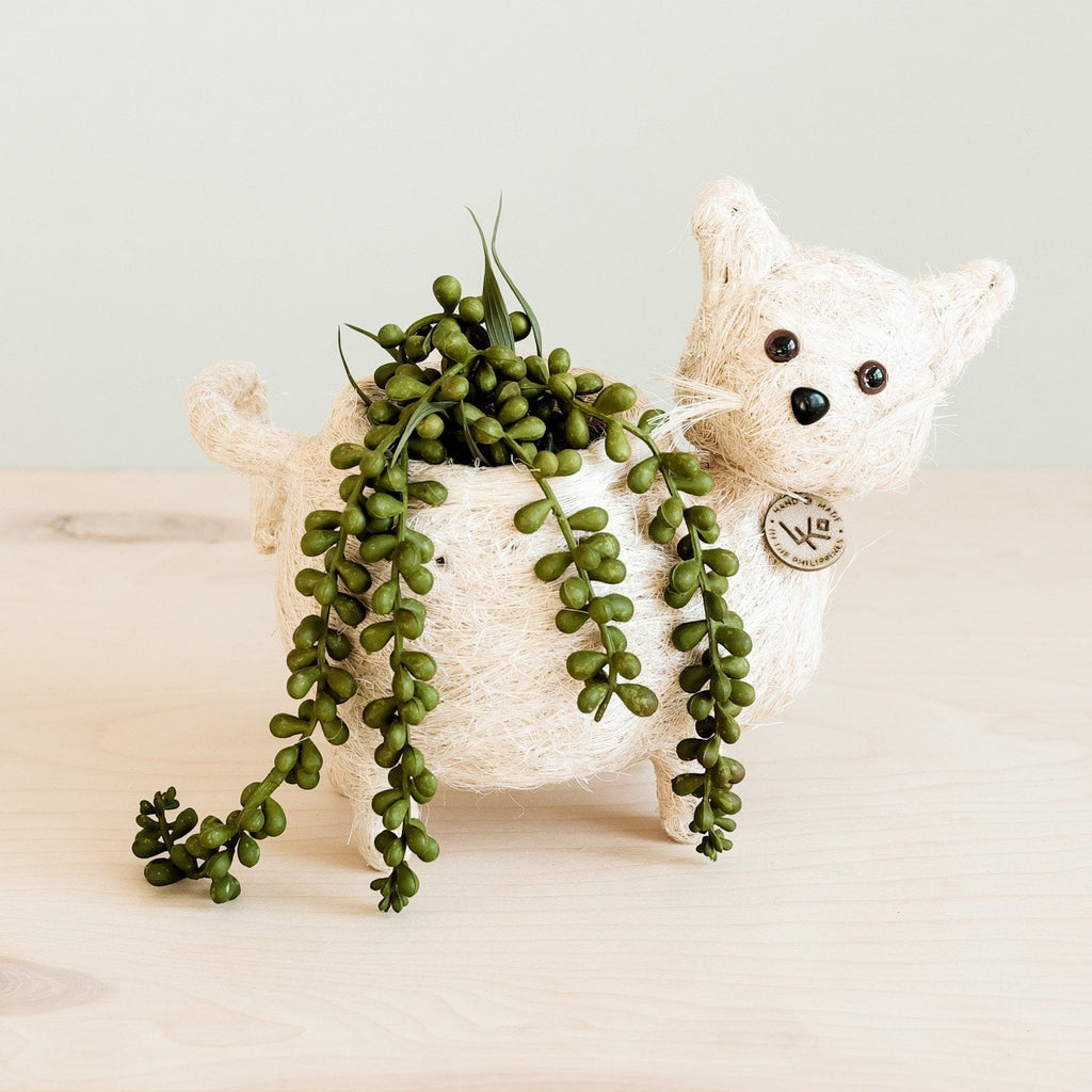 Coco Coir Adorable Animal Pots