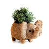 Coco Coir Adorable Animal Pots