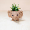Coco Coir Adorable Animal Pots