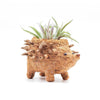 Coco Coir Adorable Animal Pots