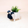 Coco Coir Adorable Animal Pots