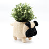 Coco Coir Adorable Animal Pots