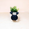 Coco Coir Adorable Animal Pots