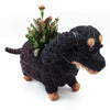 Coco Coir Adorable Animal Pots
