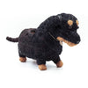 Coco Coir Adorable Animal Pots