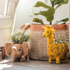 Coco Coir Adorable Animal Pots