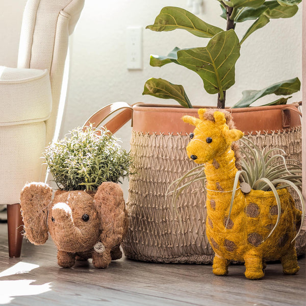 Coco Coir Adorable Animal Pots