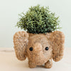 Coco Coir Adorable Animal Pots