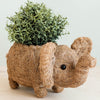 Coco Coir Adorable Animal Pots