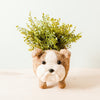 Coco Coir Adorable Animal Pots