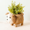 Coco Coir Adorable Animal Pots