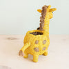 Coco Coir Adorable Animal Pots