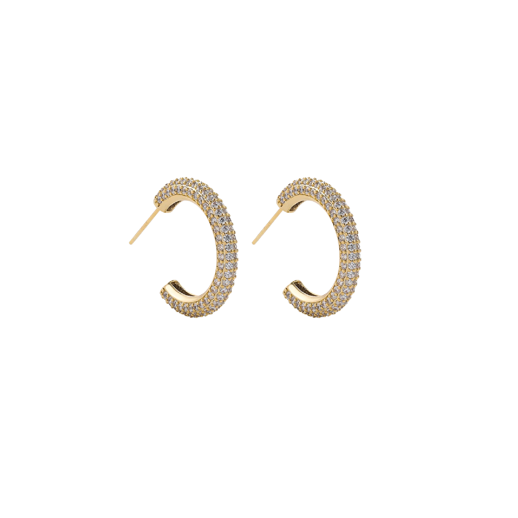 Medium Micro Pave Hoop Earrings