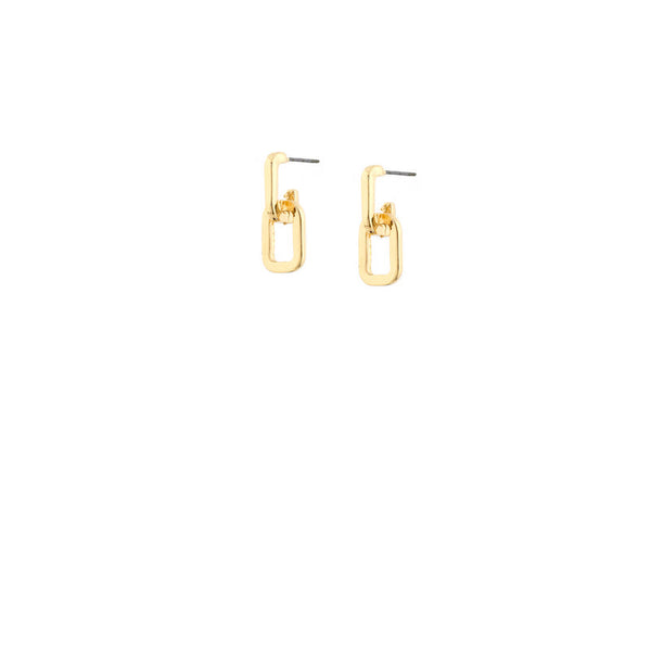 Double Link Earrings
