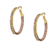 Pave Crystal Inside Out 2-Color Hoops
